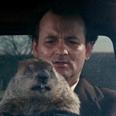 It's #GroundhogDay again. And it's time to submit your entries to The Hatch Awards. Coincidence???
Add a reminder to your calendar using the link in our bio.
